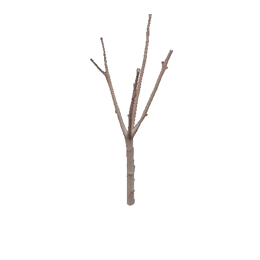 A tree edited along a temporal attribute, from bare to leafy; the slider sets the intensity and the rotation slider sets the viewing angle.